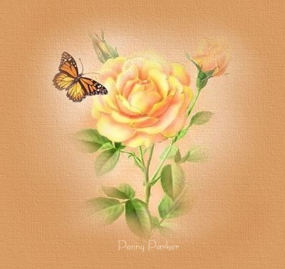 westlife ---like a rose (pour toi ma rose)